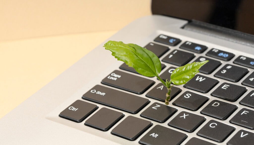 Greenwashing vs. Authentic Sustainability How Brands Can Build Real Trust