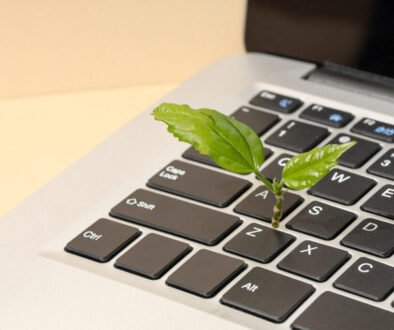 Greenwashing vs. Authentic Sustainability How Brands Can Build Real Trust